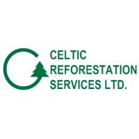 Celtic Reforestation