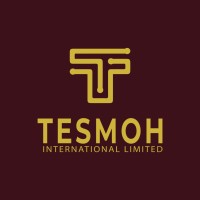 Tesmoh International logo - Similar company to Market Expansion Partners - Mep