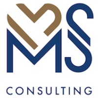 MS Consulting logo - Similar company to Ms. Consulting