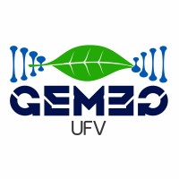 GEMEG-UFV