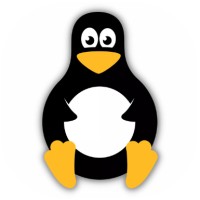 Its Linux Foss logo - Similar company to The Linux Critic