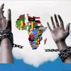 Africa Woke Citizens Platform (AWCP) logo - Similar company to Sheya Solutions Llc