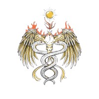 Freedom Rising Media logo - Similar company to Freedom Rising Enterprises, Llc