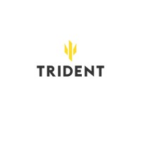 Trident Industri AB logo - Similar company to Celsicom Ab