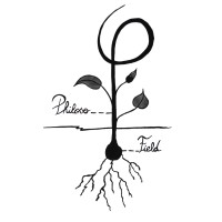 PhilosoField logo - Similar company to Research Chair Valeurs Du Soin (The Values Of Care)
