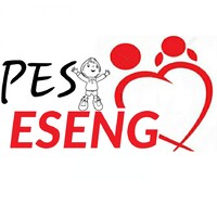 PESA ESENGO ASBL logo - Similar company to M.Digi Drc