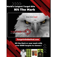 Targets Unlimited logo - Similar company to Quick Eatery
