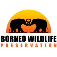 Borneo Wildlife Preservation logo - Similar company to Endangered Primate Foundation