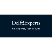 Delft!Experts logo - Similar company to Ibbd. Institute For Branding & Business Development