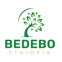 Bedebo Ethiopia logo - Similar company to Zergaw Cloud Service Provider