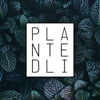 Plantedli logo - Similar company to The Companization