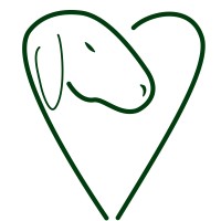 SEEKÎNAMOUR logo - Similar company to ZoneCreative