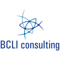 BCLI Consulting logo - Similar company to Document Solution International