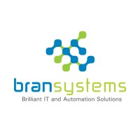 Bran Systems logo - Similar company to Grenville Systems Development