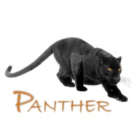 Panther Precision logo - Similar company to Caztek Engineering