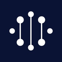 Datricon Technologies logo - Similar company to Data Dogs