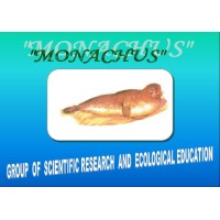 MONACHUS Group of Scientific Research and Ecological Education logo - Similar company to Qatar Community