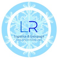 Lerilog Srl logo - Similar company to Logicus Srl