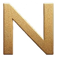 Nick Gutiérrez logo - Similar company to Formación Ninja 🥷