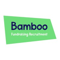 Bamboo Fundraising Recruitment logo - Similar company to Spore Studios