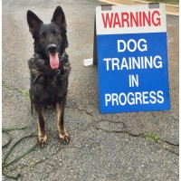 Explosive Countermeasures International, Inc. logo - Similar company to Studio June