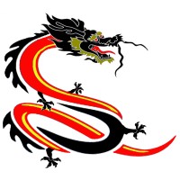 Eastern Dragon Oil Services LLC logo - Similar company to Dragon Oil Technologies Services S.A.C.
