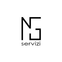 NG Servizi logo - Similar company to Byteqx