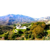 Songwriting Retreats with Jud Friedman logo - Similar company to Soundsdope Music Production