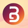 Bit Patterns logo - Similar company to Meisparkz Consultancy Services Private Limited