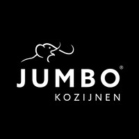 Jumbo Kozijnen logo - Similar company to Domslim