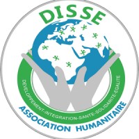 DISSE logo - Similar company to Arts Abroad Project