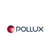 POLLUX BRASIL logo - Similar company to Partnerone Brasil