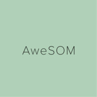 AweSOM logo - Similar company to Hoei Denmark A/S