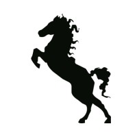 Continuity - Juni Mukherjee's Boutique Consulting Firm logo - Similar company to Lab The Boutique Consulting Group