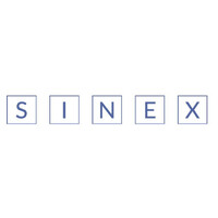 SINEX China logo - Similar company to Palm Tree Consulting