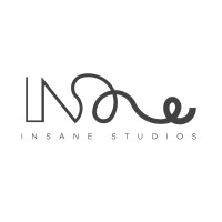 Insane studios logo - Similar company to Reflection Matters