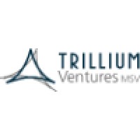 Trillium Ventures MSV logo - Similar company to Media Wealth