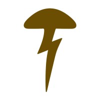 Thunder Honey logo - Similar company to The Lumin Project
