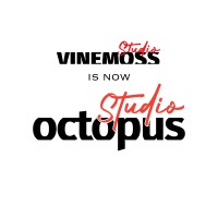 Studio Octopus Noida logo - Similar company to Breakthrough Design Studio