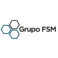 Grupo FSM logo - Similar company to Plot