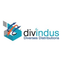 DIVINDUS DIVERSES DISTRIBUTIONS EPE/SPA logo - Similar company to Divindus Capref