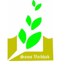 Sams Vaibhab Pvt Ltd logo - Similar company to Soft9