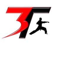 3T Championship Martial Arts logo - Similar company to Every Day Is Fightday