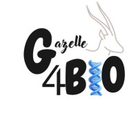 Gazelle4Bio logo - Similar company to C-Valo