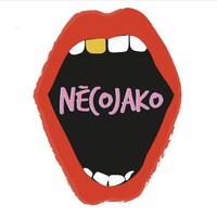 NěcoJako logo - Similar company to Nanooky