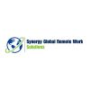Global Remote Work Solutions logo - Similar company to Synergy Workforce Solutions, Llc