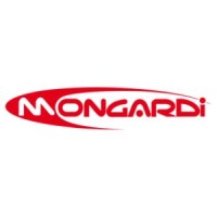 Mongardi logo - Similar company to Mongardi S.N.C.