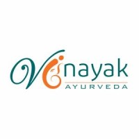 Vinayak Ayurveda Pvt. Ltd. logo - Similar company to Weblytic Technologies
