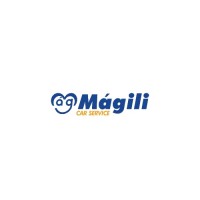 Magili Reparadora De Veiculos logo - Similar company to Planos Tecnologia