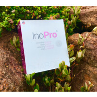 Inopro logo - Similar company to Amaral Factory